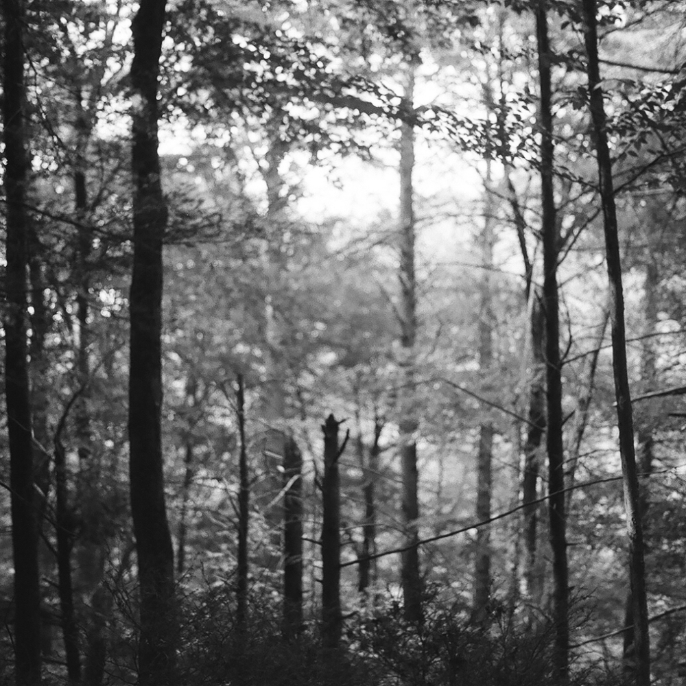 trench 4 Tracie 🖤